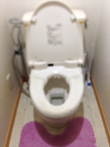 トイレ・止水栓取替工事（トイレ床張替え工事含む）　北海道石狩市　XCH1101WS-sale